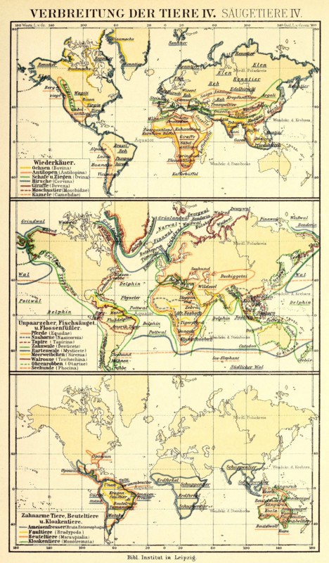 Distribution Of Animals According To Brehm'S Animal Life In The 19Th Century