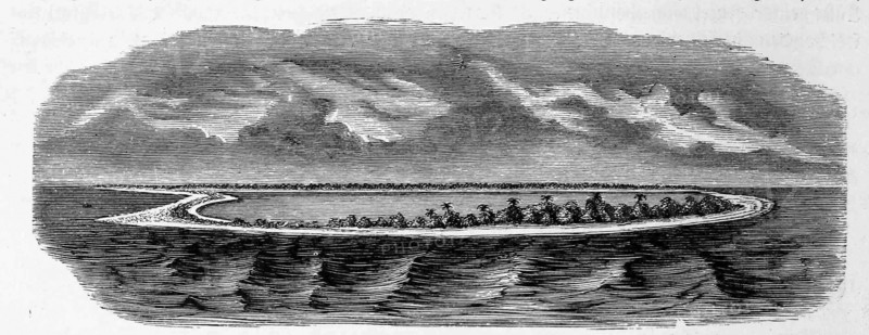 Coral Island