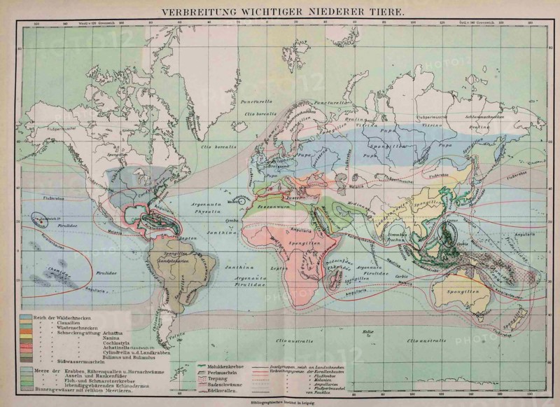 Map Of The Distribution Of Important Lower Animals
