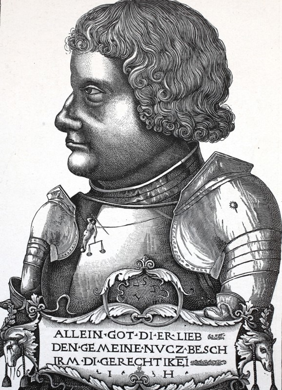 Franz Von Sickingen Was A German Knight