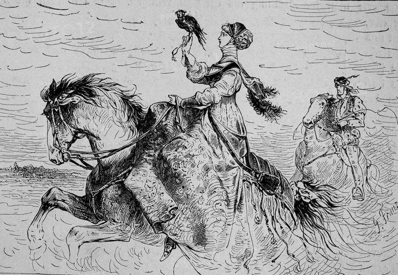 Noble Lady In Falconry In The Middle Ages