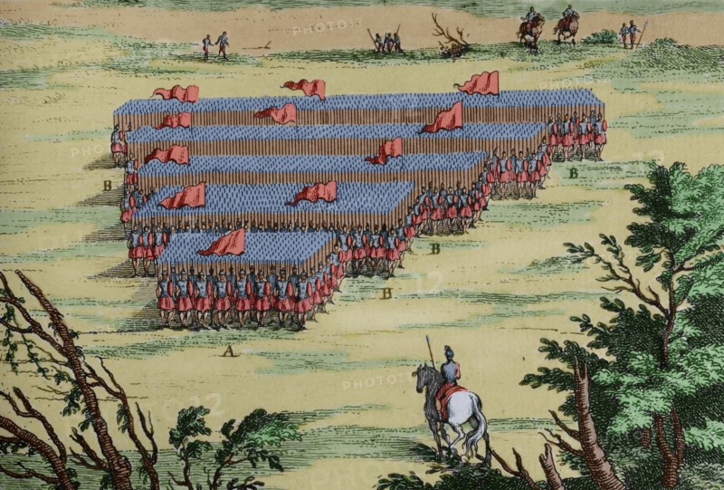 History by Polybius.