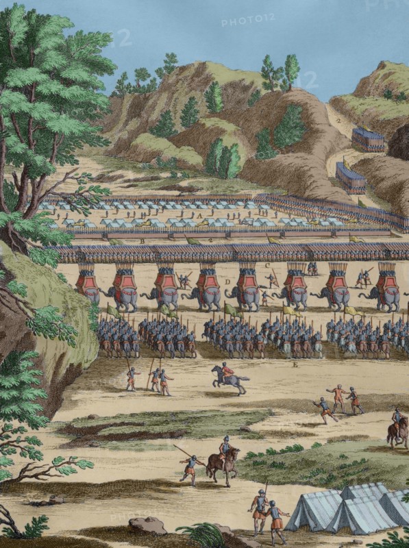 History by Polybius.