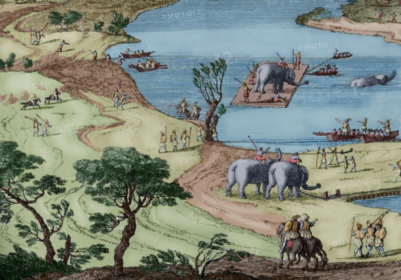 History by Polybius.