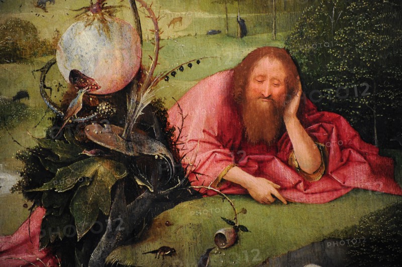 Saint John the Baptist in Meditation.
