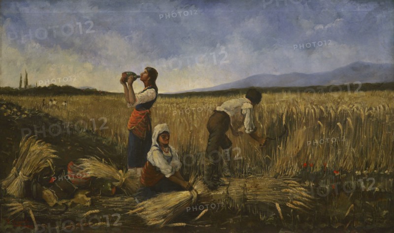 Harvest.