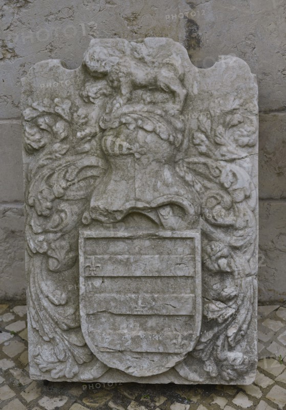 Rebelo coat of arms.