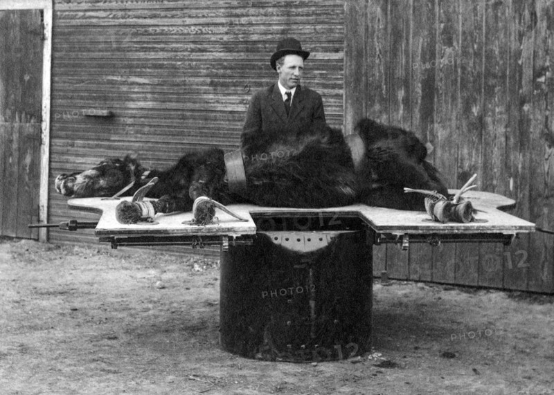 Horse Operating Table