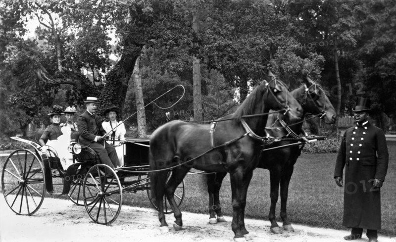 Family Buggy Ride