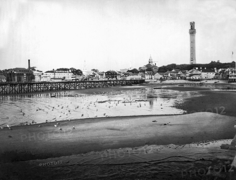 Provincetown Cape Cod Harbor