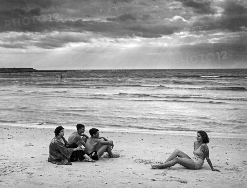 Cape Cod Beach Scene