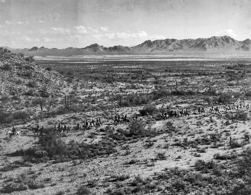 Phoenix