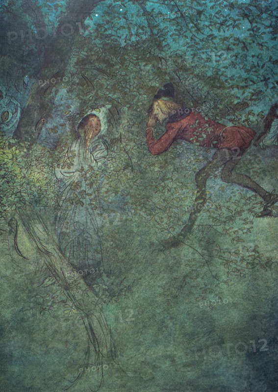 Charles Dicken's the Merry Wives Of Windsor.