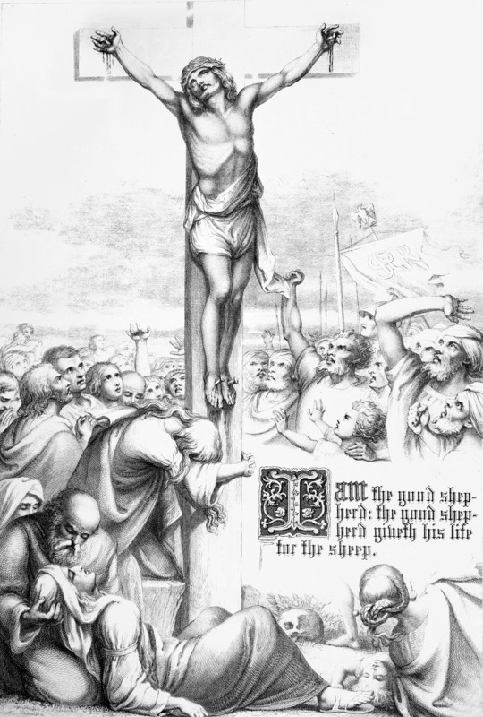 I Am The Good Shepherd, The Good Shepherd Giveth His Life For His Sheep.