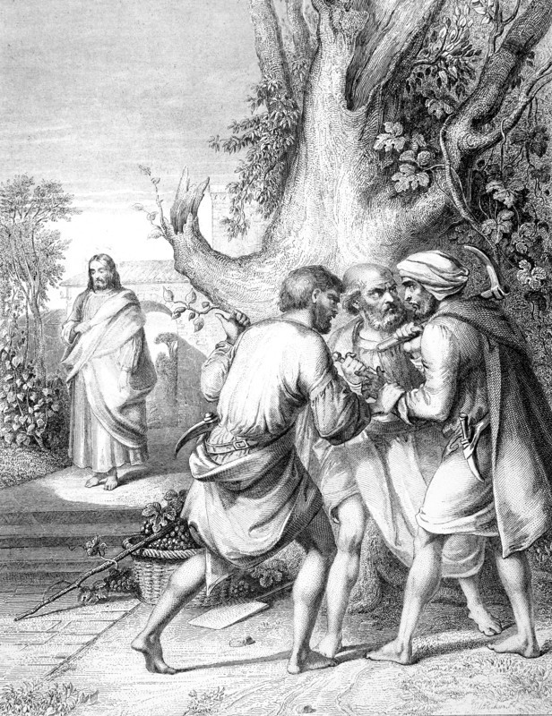 The Wicked Husbandmen.