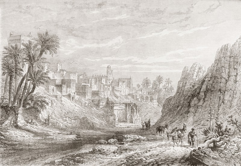 A view of Elche, Baix Vinalopo.