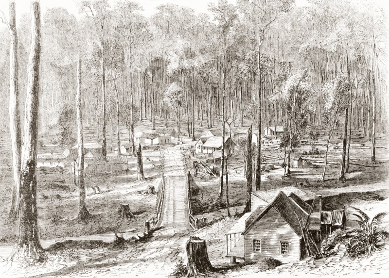The Fernshaw colony.