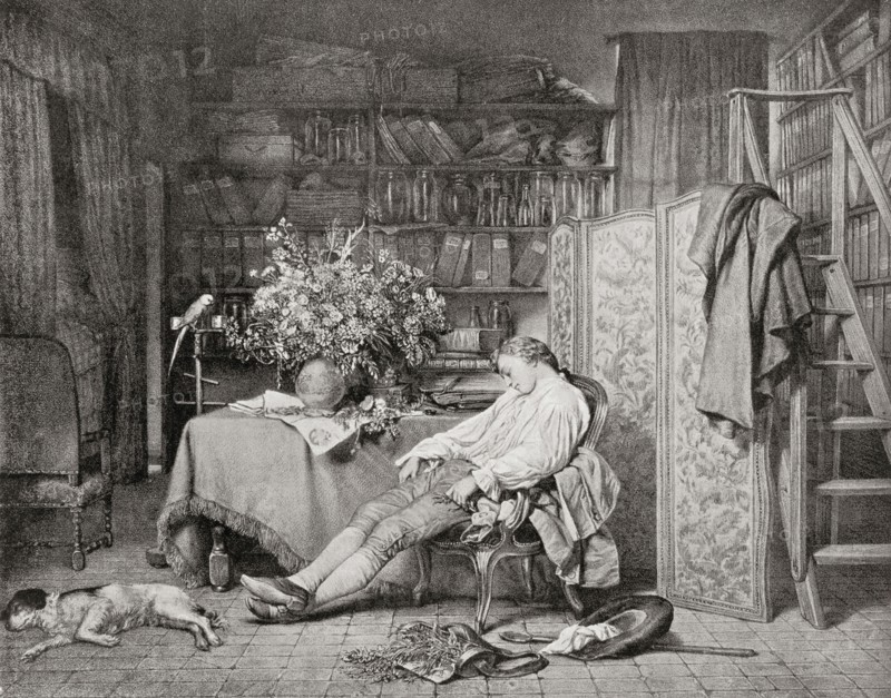 Linnaeus at home asleep in a chair after returning from one of his botanical excursions.