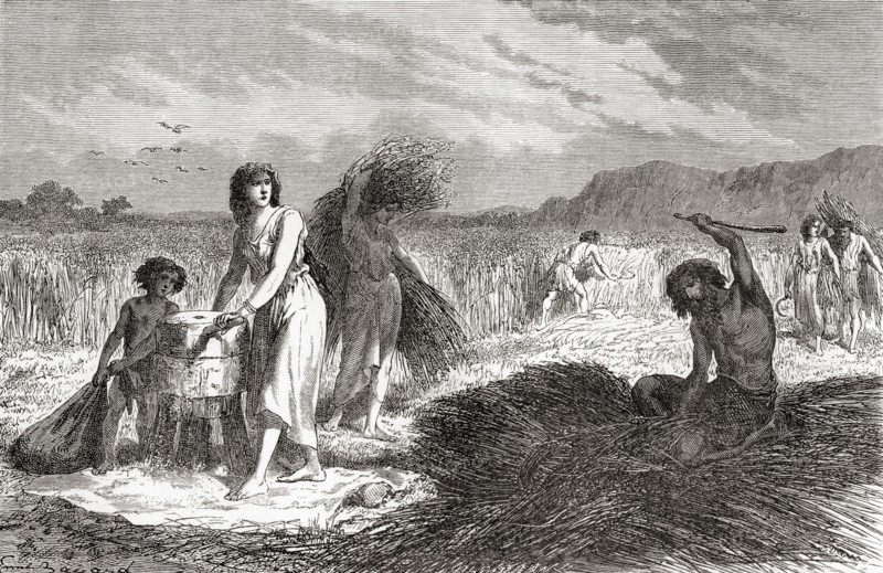 Agriculture during the Iron Age.