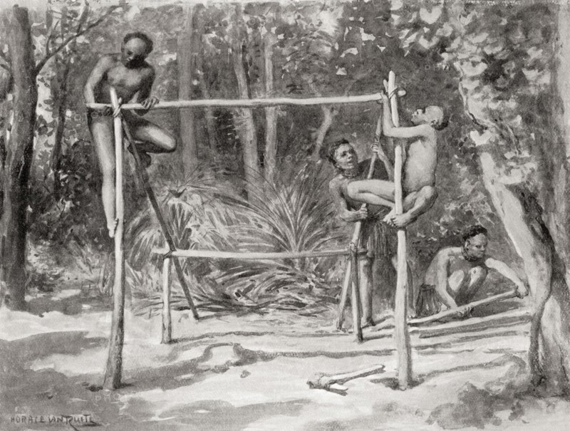 Early Indian natives building a shelter by tying together poles and covering with leaves.