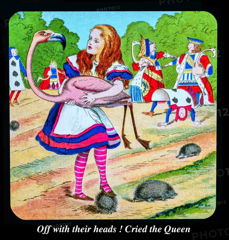 Alice in Wonderland chapter 3.
