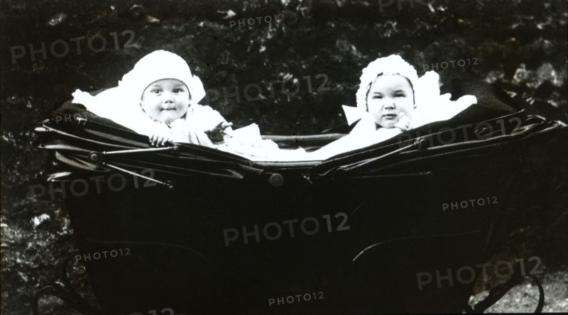 Baby twins in a pram.