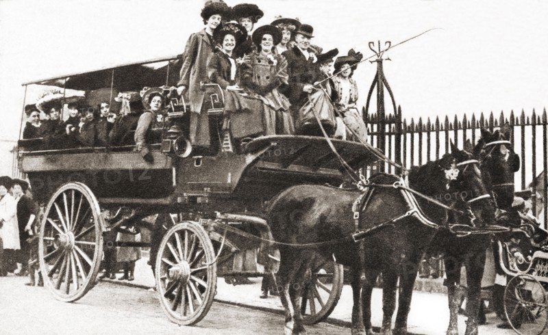 A horse-brake.