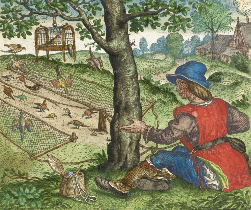 The fable of the greedy bird-catcher.