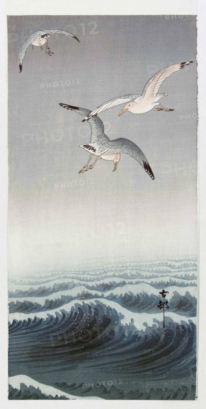 Three Seagulls.