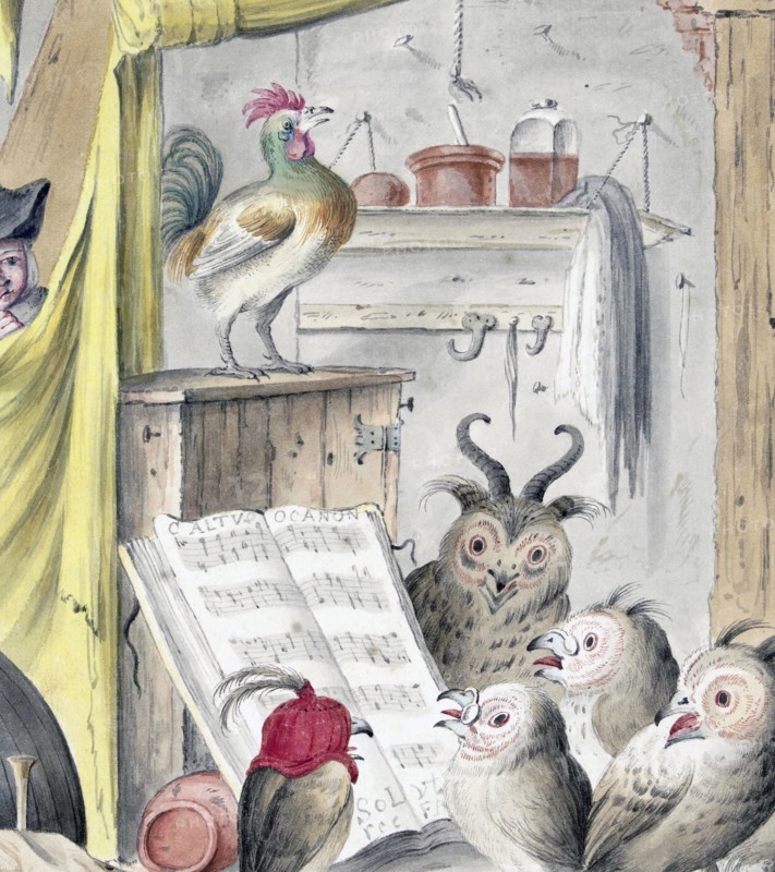 Bird Concert.