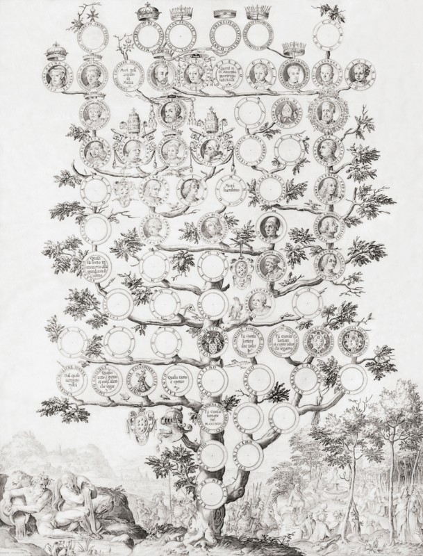 Genealogy of the Medici family of Florence.