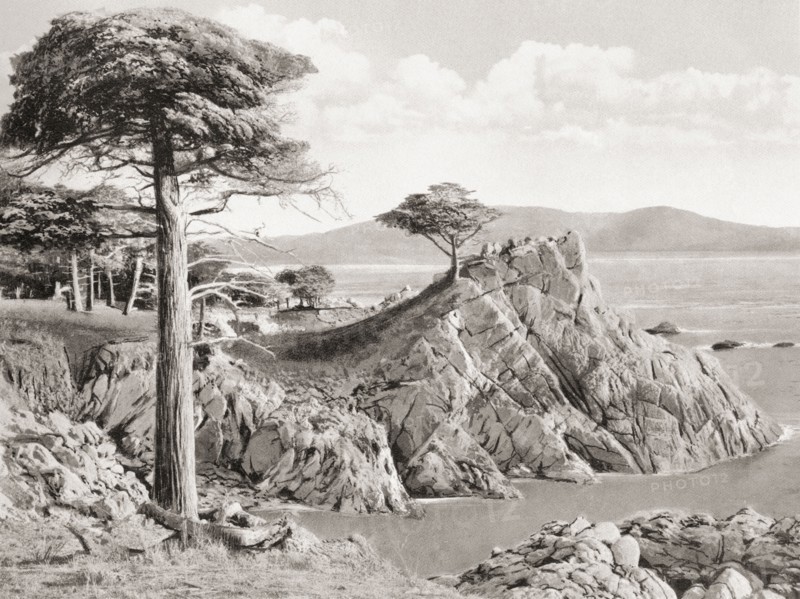 The Lone Cypress Midway Point on the 17 Mile Drive which includes Del Monte.