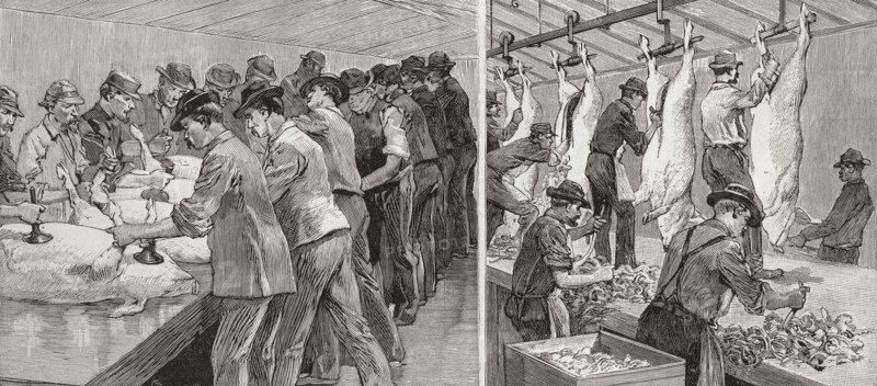 Two scenes from a slaughterhouse in Chicago.