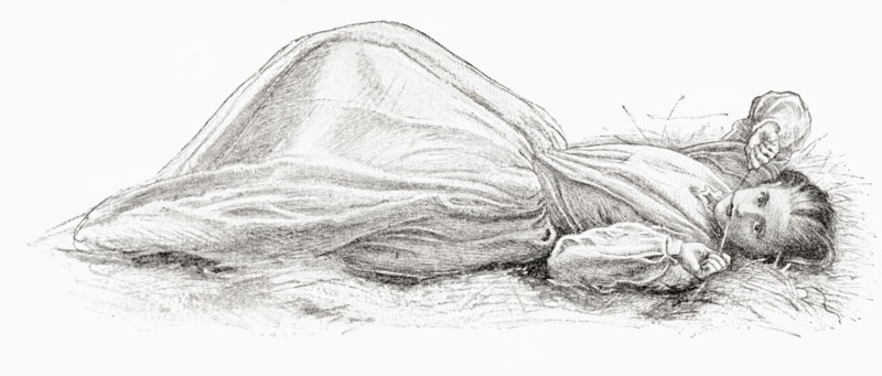 Study for the painting Apple Blossoms also known as Spring.