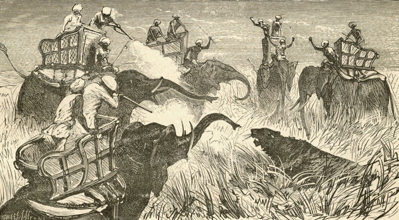 Hunters mounted on elephants.