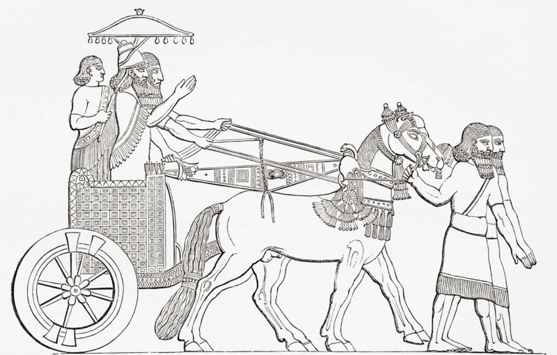 An Assyrian king in his chariot of state.