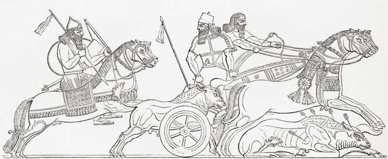 Hunting wild bull in ancient Assyria.