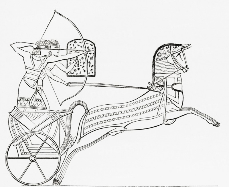 Egyptian war chariot.