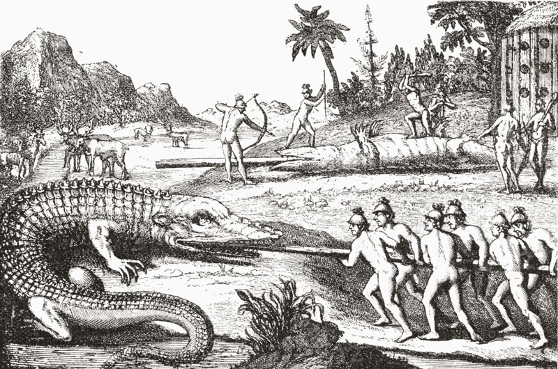 Hunting alligators in the Southern States of America.