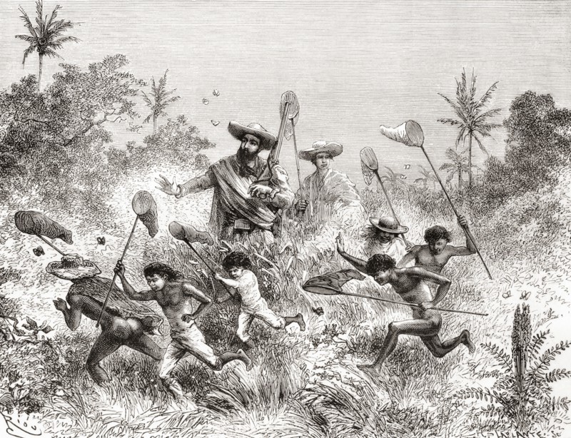 Edouard Francois Andre catching butterflies in Villavicencio.