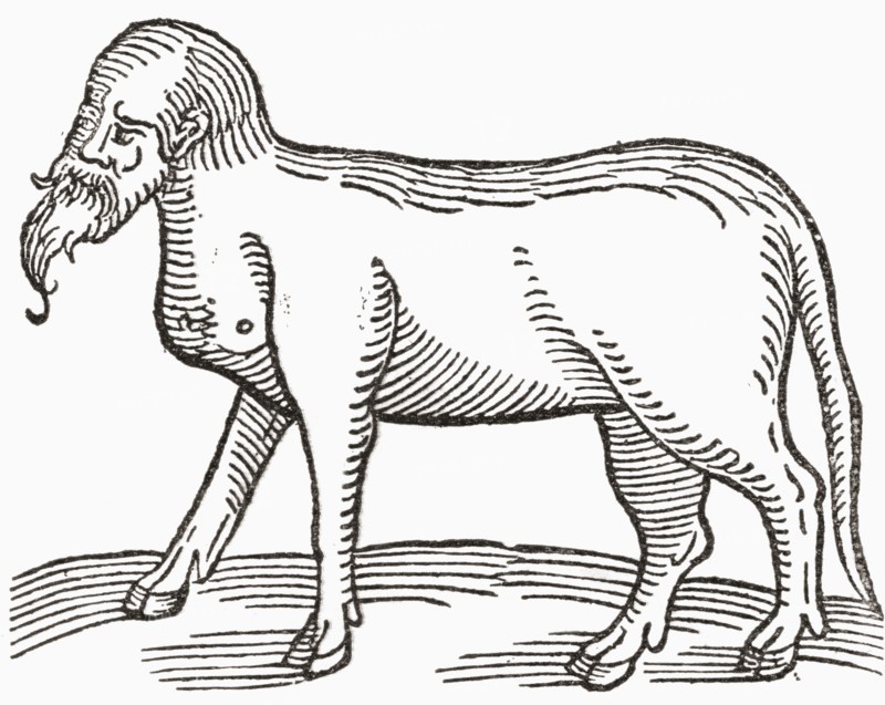 A human faced animal.