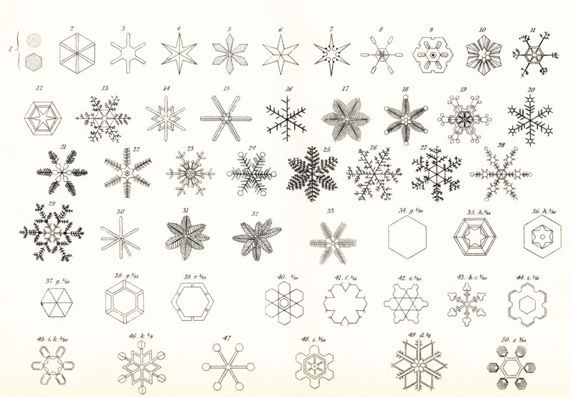 Different Forms Of Snow And Hailstones.