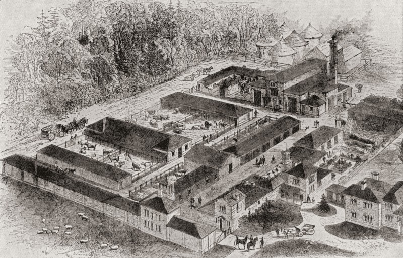 The Model Farm Of Albert Edward.