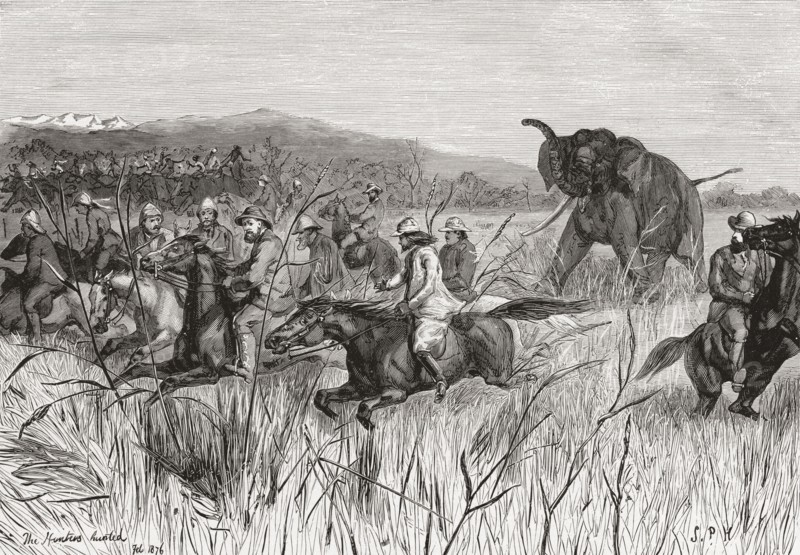 Elephant hunters in the 19th century being charged by an elephant.