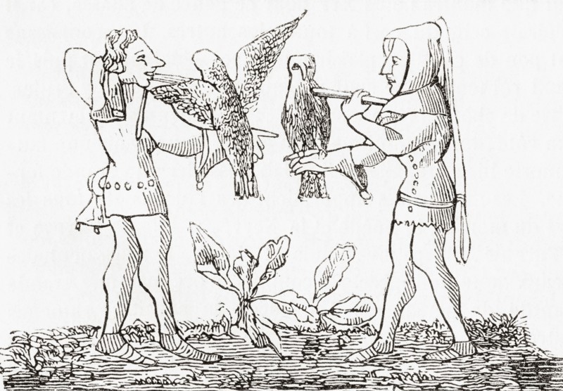 Falconry in the middle ages.