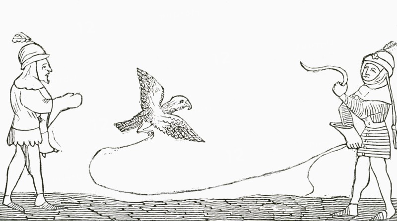 Falconry in the middle ages.