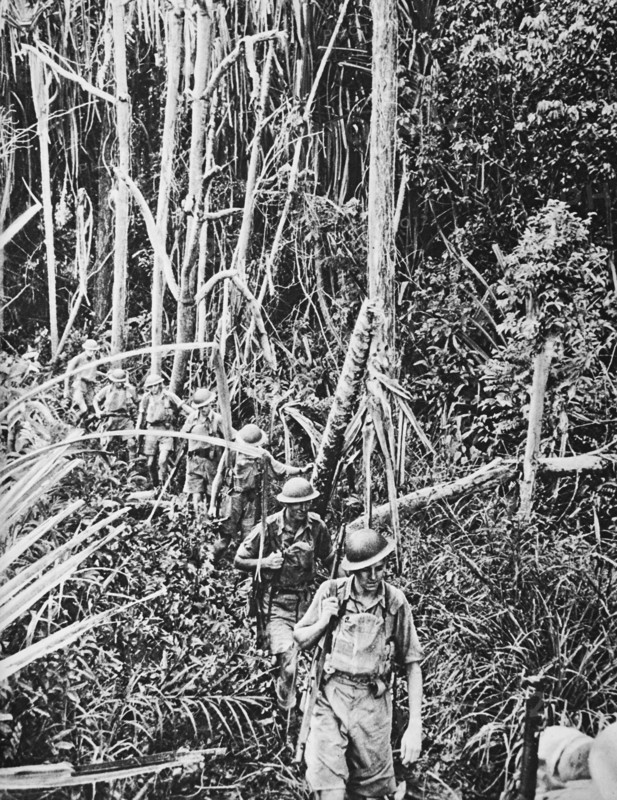 British troops in a tropical jungle in Malaya.
