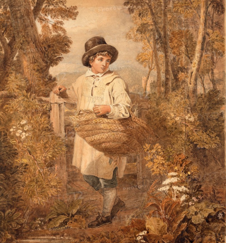 Jeune garçon ramassant du bois