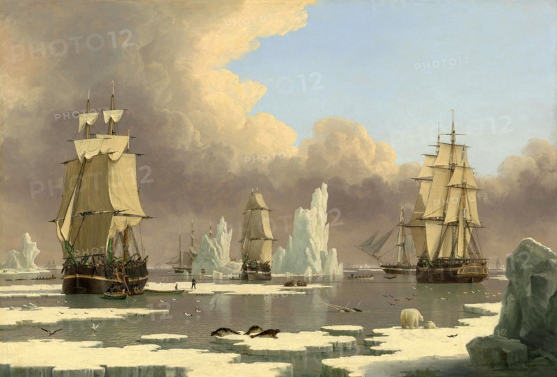 Whaling in the North.
