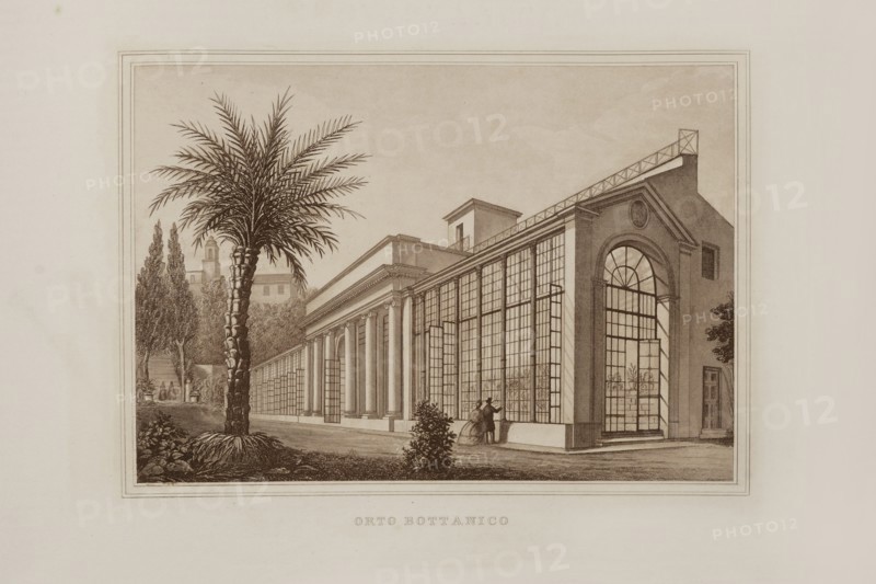 La Science et les Arts sous le pontificat du pape Pie IX, 1860